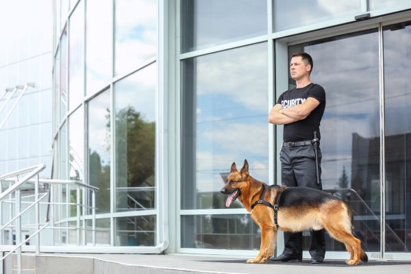 Security guard with a K9 dog.
